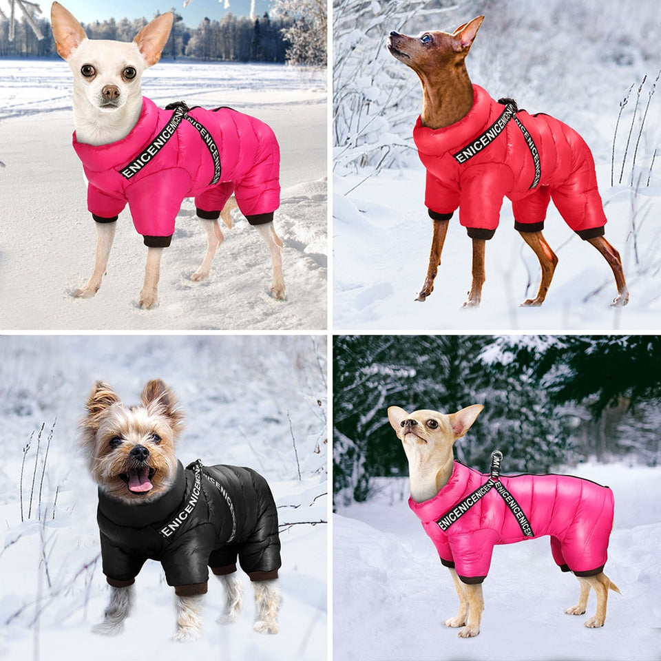 EPibuss Super Warm Winter Harness Waterproof Puppy Clothing