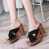 EPibuss Summer Women Sandals High Heel Elegant Ladies Shoes