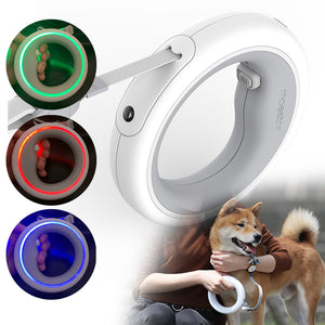 EPibuss 3M Long  Dog  Automatic Luminous LED Light Retractable Roulette Leash